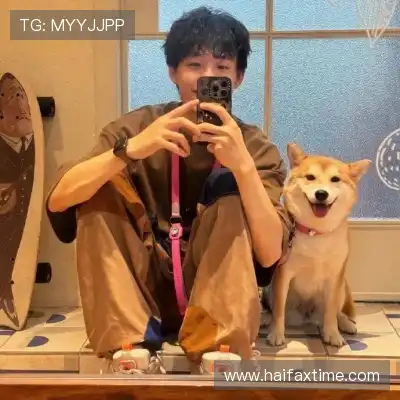 何鹰辉